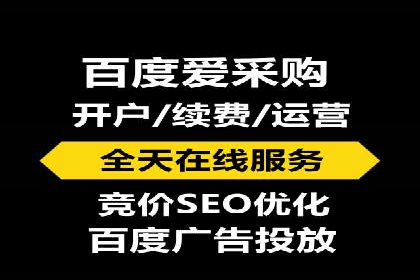 某知名企业SEM外包项目的成功经验分享